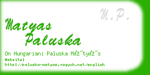 matyas paluska business card